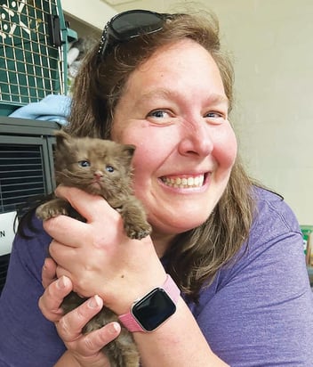 Cat population image