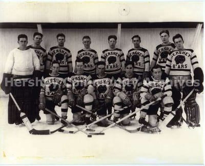 Hershey Bears: A Legacy of Hockey Excellence