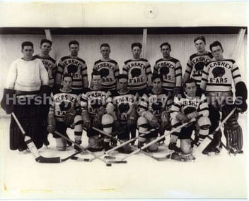 Hershey Bears Image