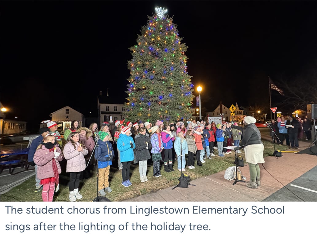 Linglestown lights holiday “Giving Tree” campaign launched for CASA